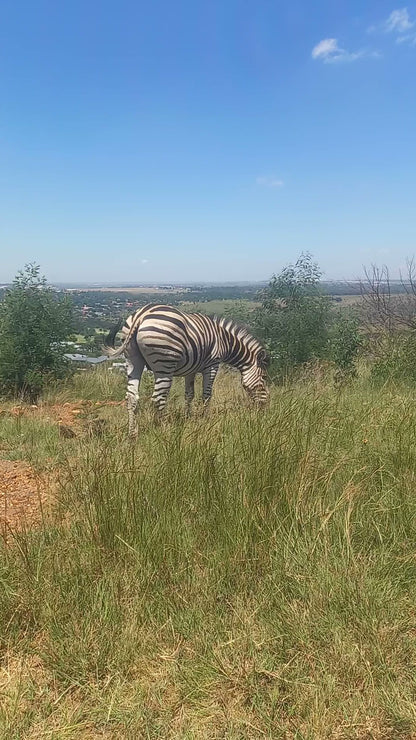  Klapperkop Nature Reserve