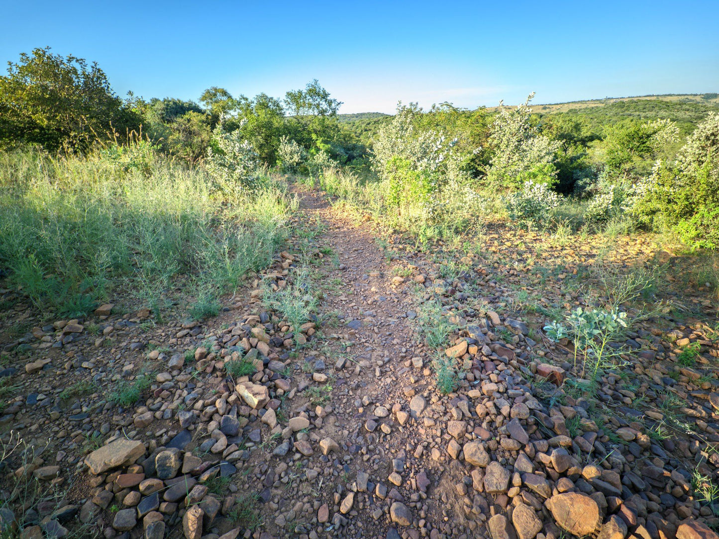  Klapperkop Nature Reserve