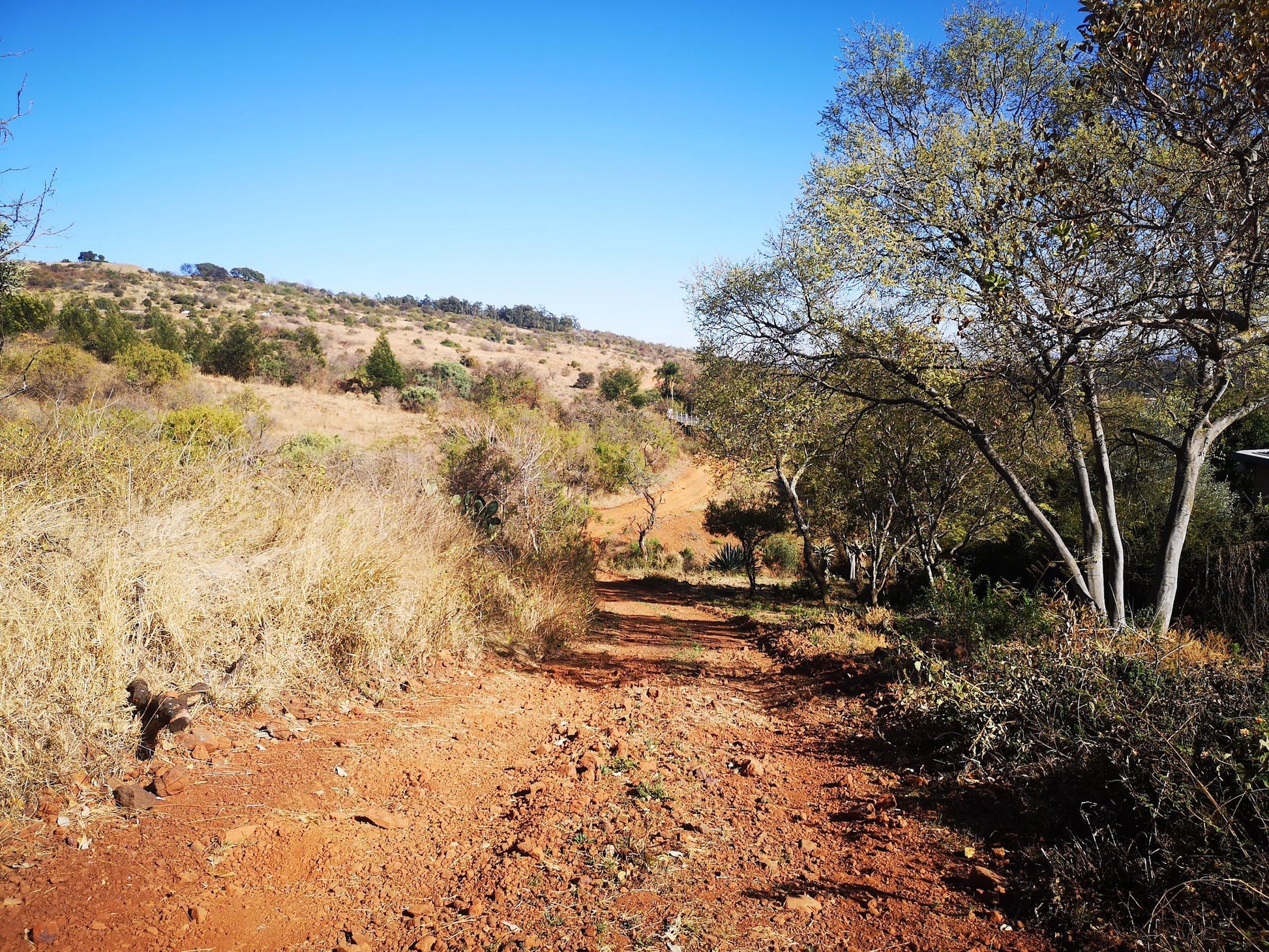  Klapperkop Nature Reserve