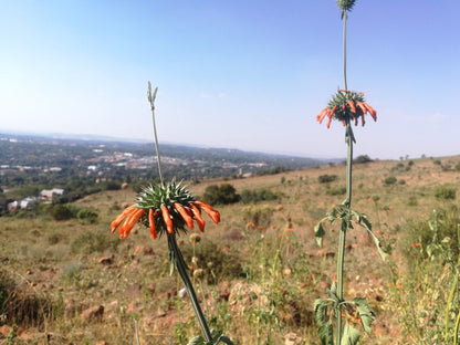  Klapperkop Nature Reserve