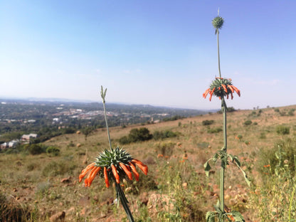  Klapperkop Nature Reserve