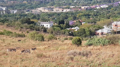  Klapperkop Nature Reserve