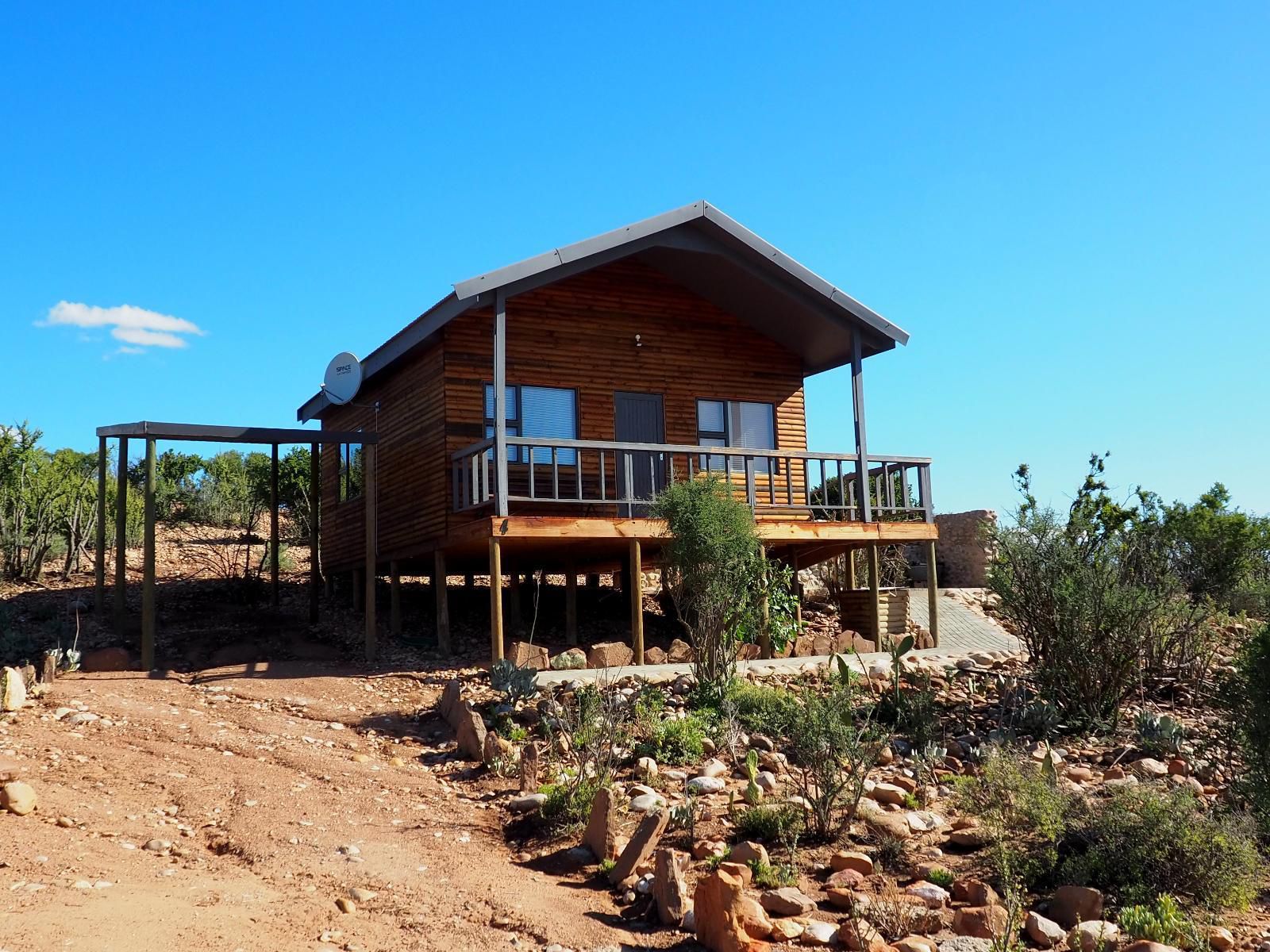 Klein Karoo Game Lodge Oudtshoorn Western Cape South Africa Complementary Colors