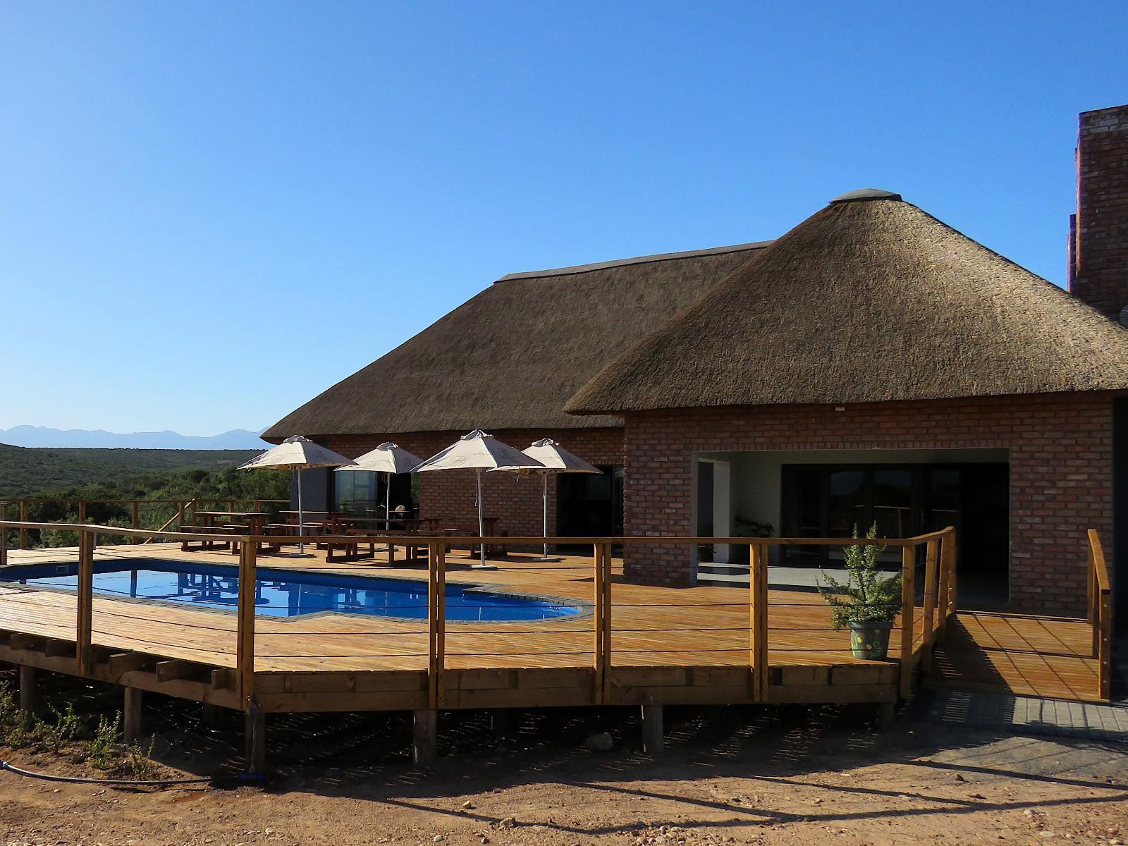 Klein Karoo Game Lodge Oudtshoorn Western Cape South Africa 