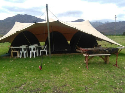 Klein Vlei Camping Villages And Cabins Fernkloof Hermanus Western Cape South Africa Mountain, Nature, Tent, Architecture, Highland