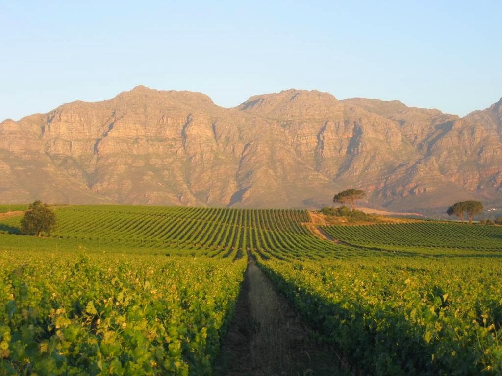  Kleine Zalze Wine Estate