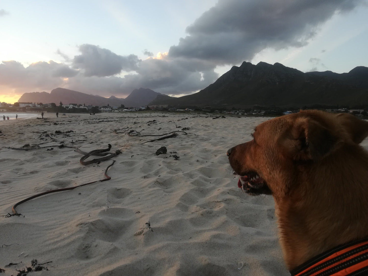  Kleinmond Lagoon Bridge