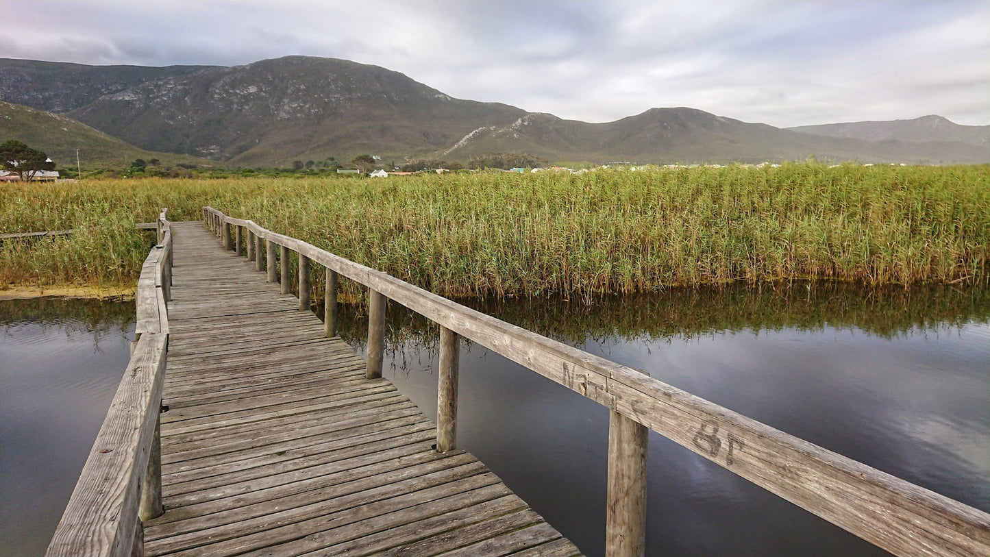  Kleinmond Lagoon Bridge