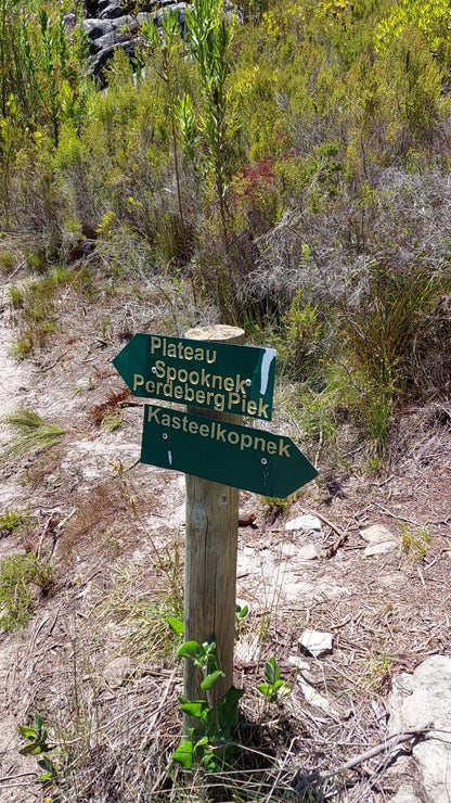 Kleinmond Rock Climbing Crag