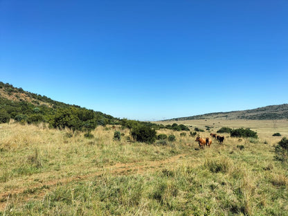  Klipkraal Hiking Trail