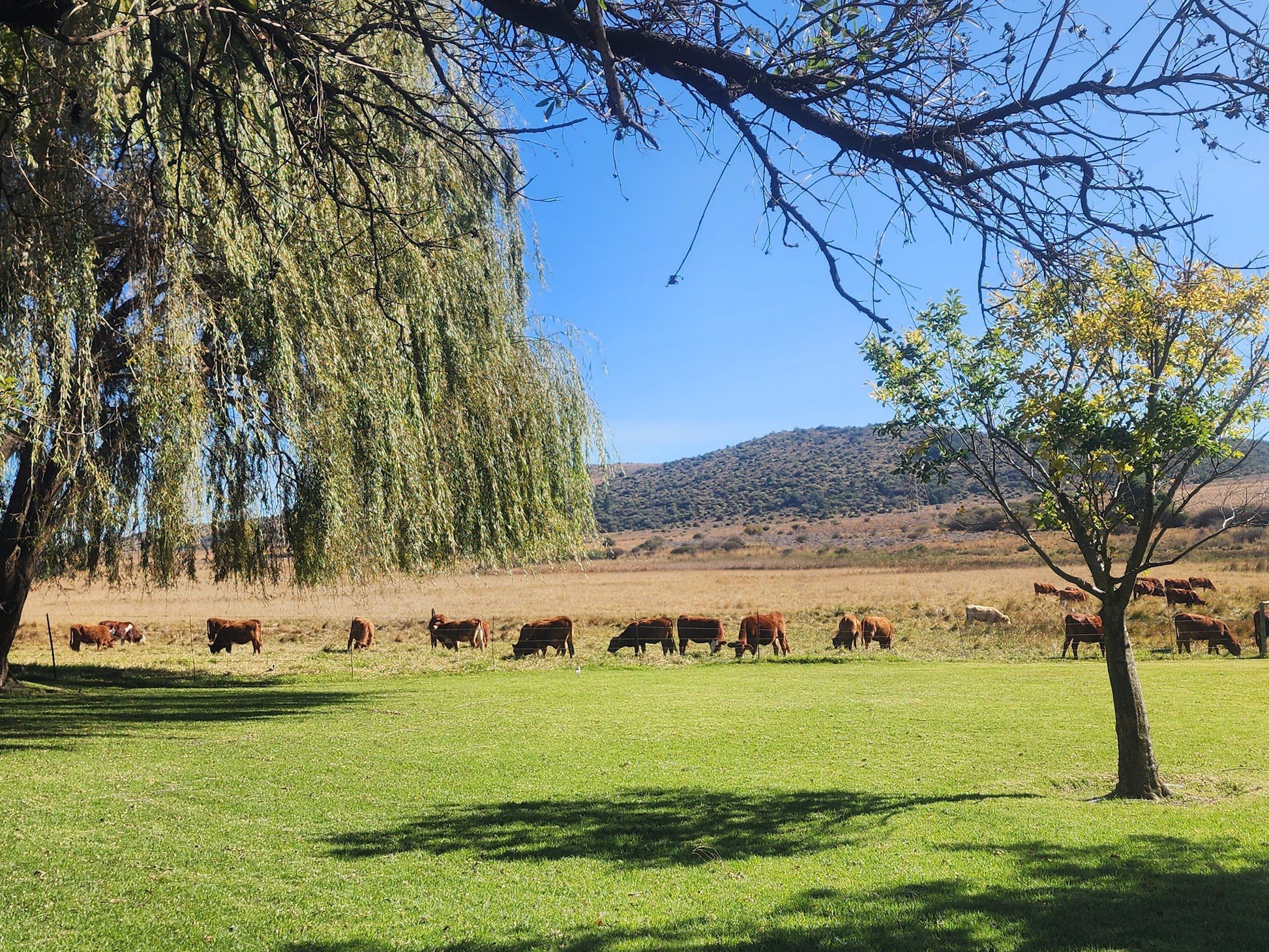  Klipkraal Hiking Trail