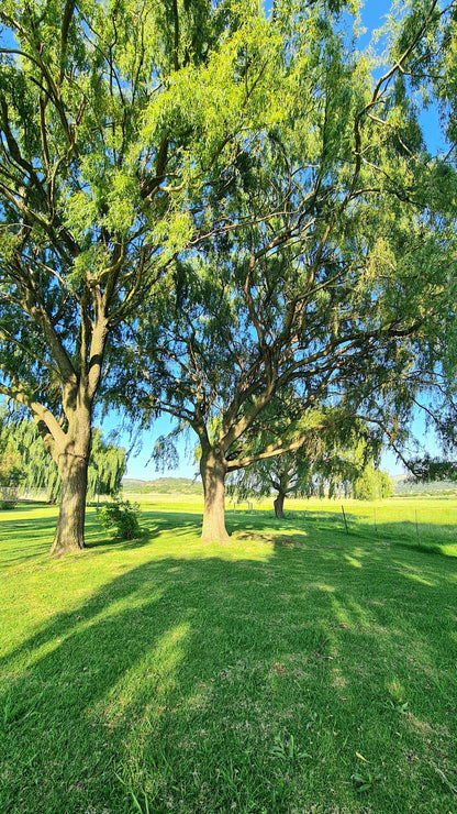  Klipkraal Hiking Trail