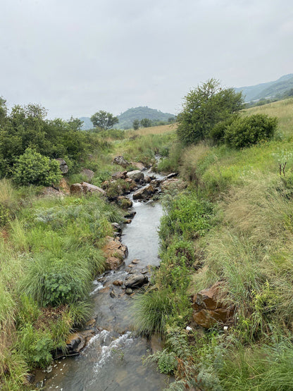  Klipriviersberg Nature Reserve (Back Entrance)