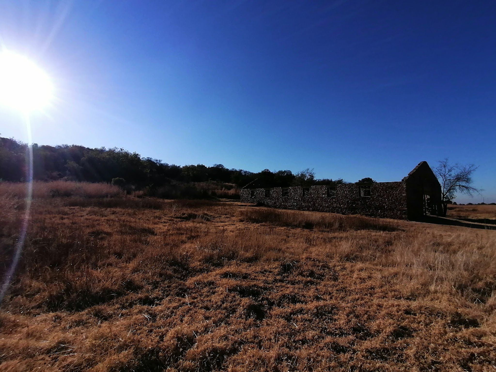  Klipriviersberg Nature Reserve (Back Entrance)