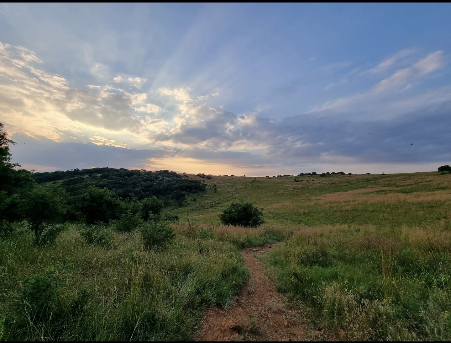  Klipriviersberg Nature Reserve (Back Entrance)