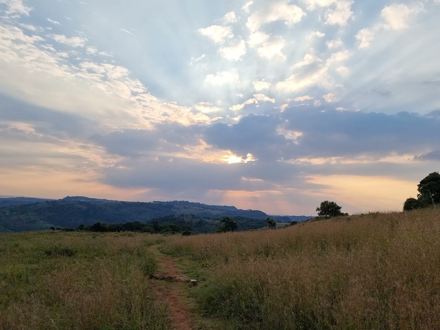  Klipriviersberg Nature Reserve (Back Entrance)