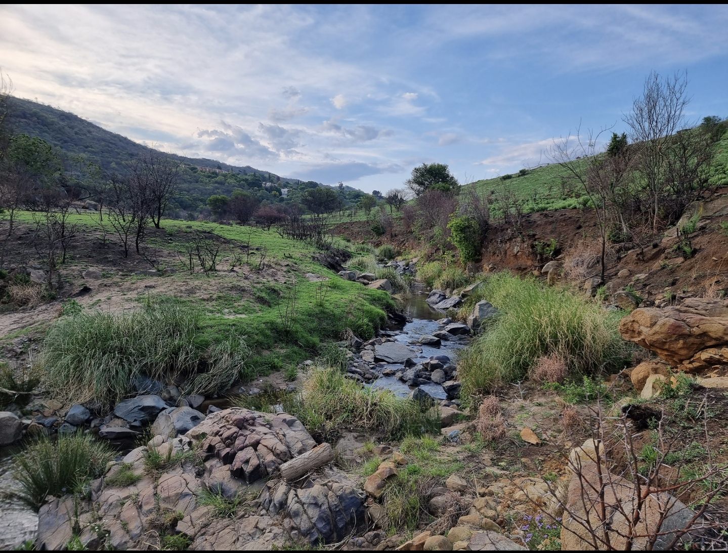  Klipriviersberg Nature Reserve (Back Entrance)