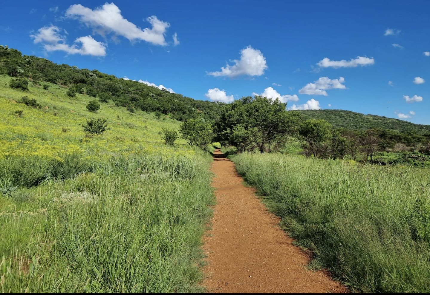  Klipriviersberg Nature Reserve (Back Entrance)