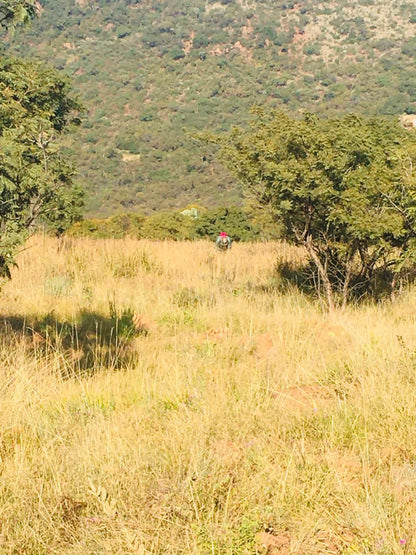  Klipriviersberg Nature Reserve (Back Entrance)