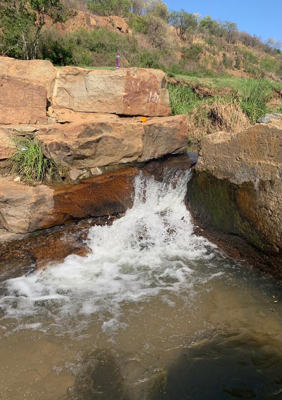  Klipriviersberg Nature Reserve (Back Entrance)