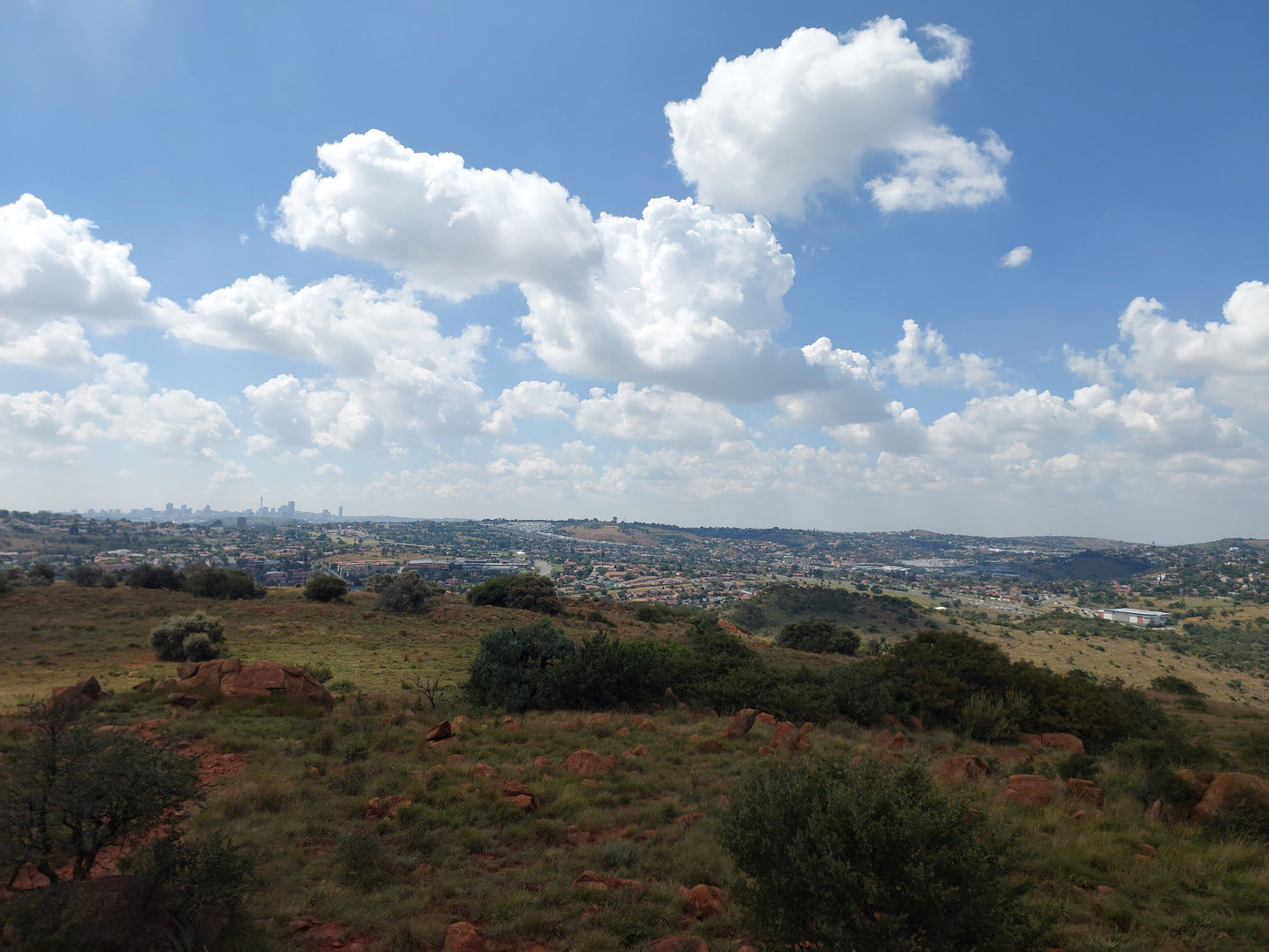  Klipriviersberg Nature Reserve (Back Entrance)