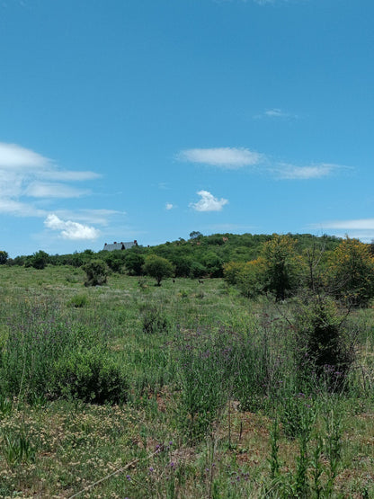  Klipriviersberg Nature Reserve (Back Entrance)