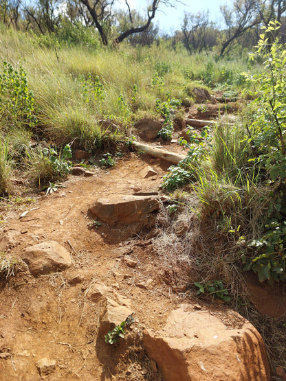  Klipriviersberg Nature Reserve (Back Entrance)