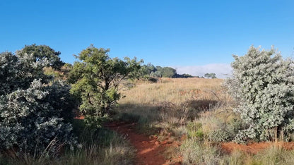  Klipriviersberg Nature Reserve (Back Entrance)