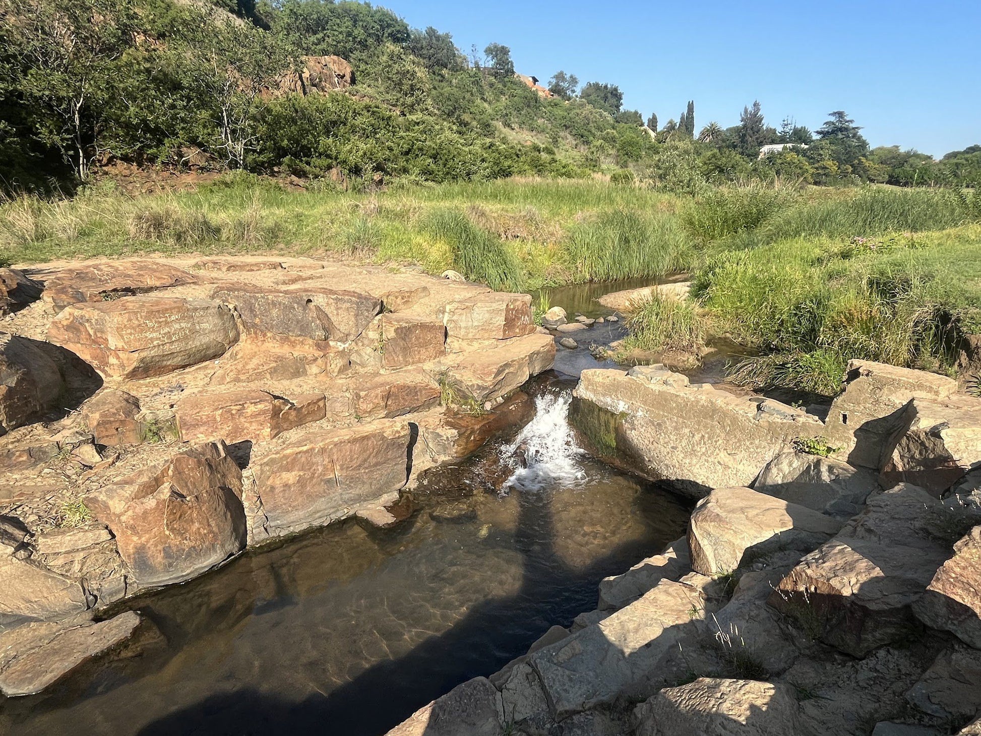  Klipriviersberg Nature Reserve (Back Entrance)