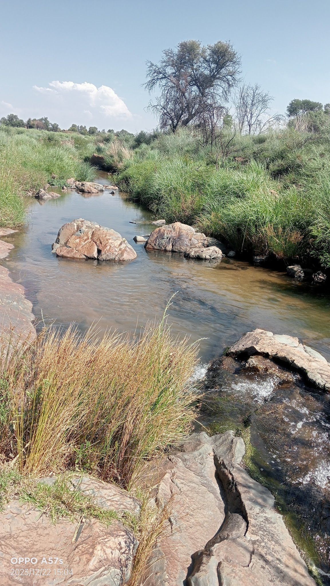  Klipriviersberg Nature Reserve