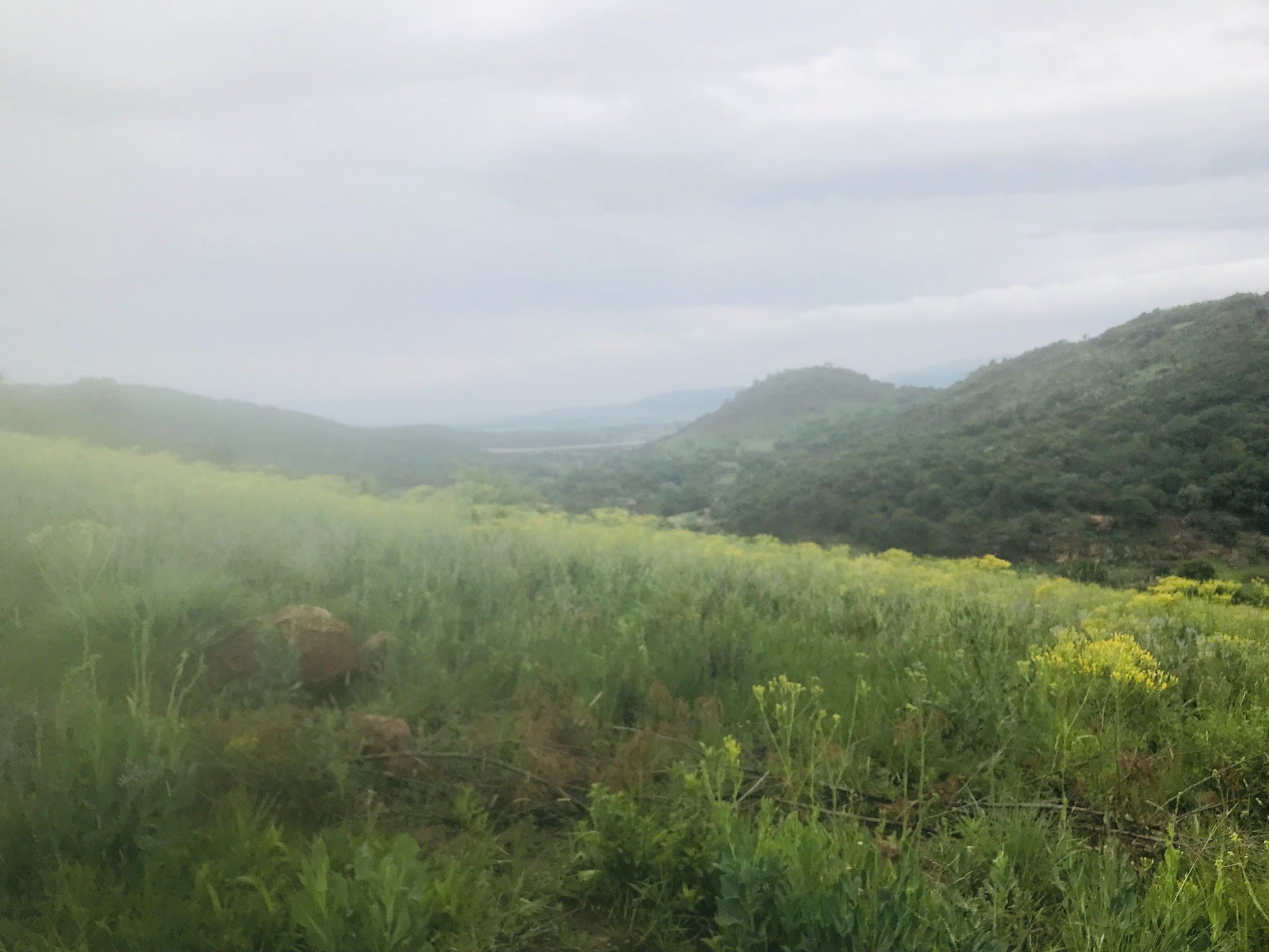  Klipriviersberg Nature Reserve