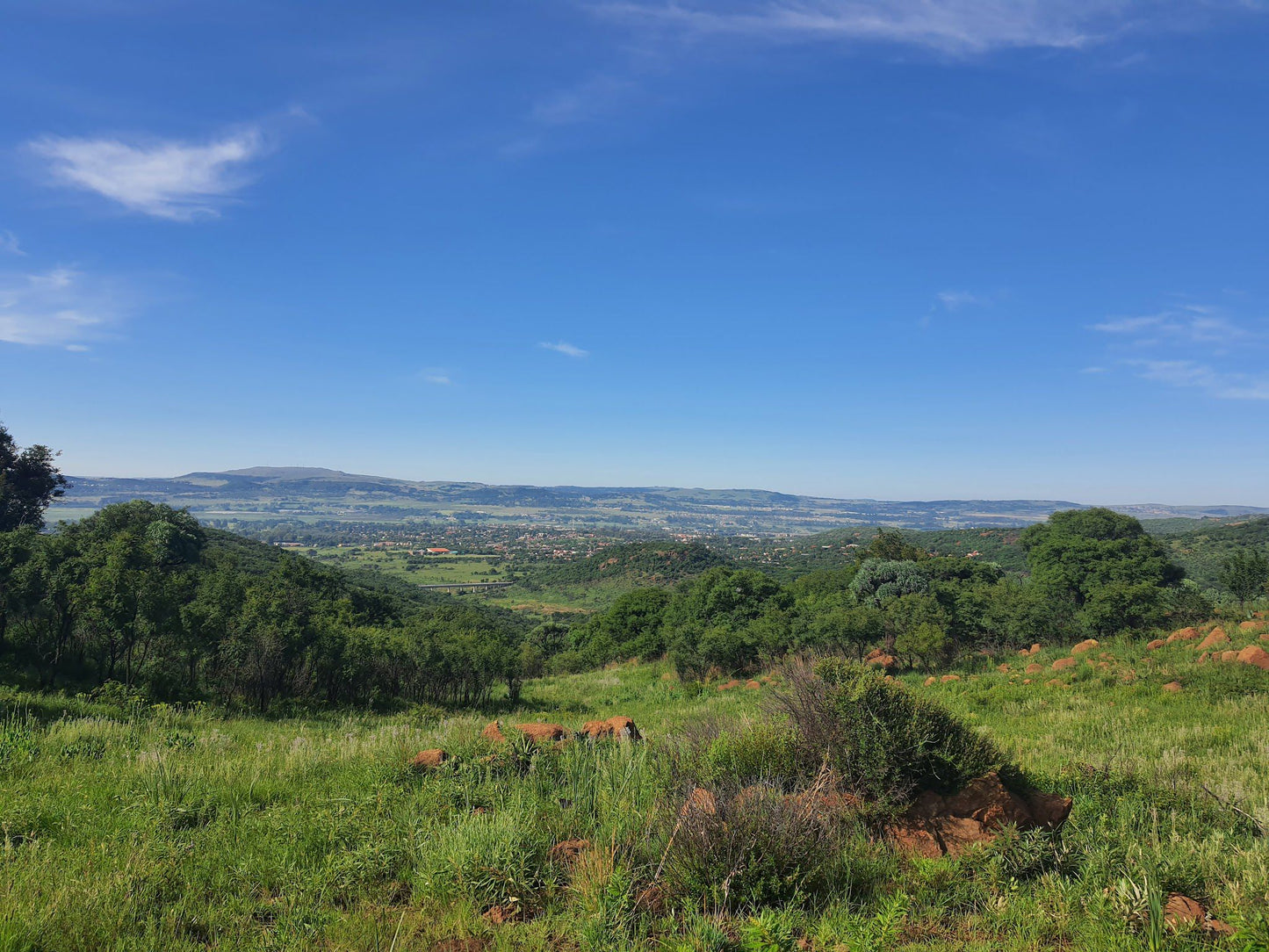  Klipriviersberg Nature Reserve