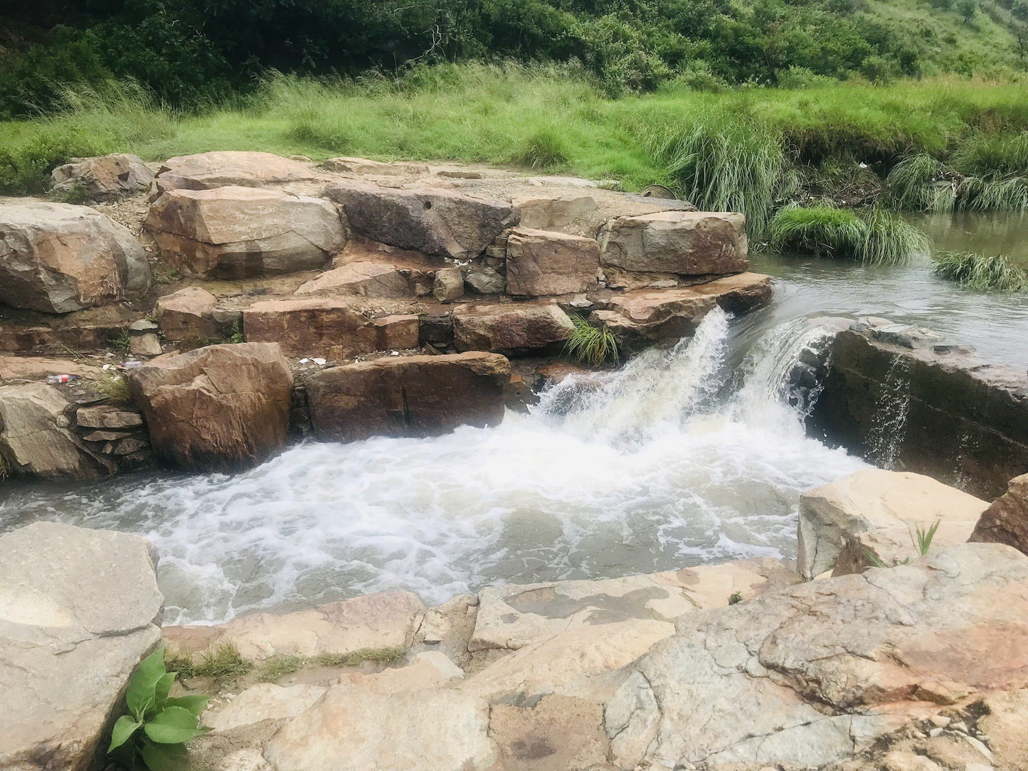  Klipriviersberg Nature Reserve