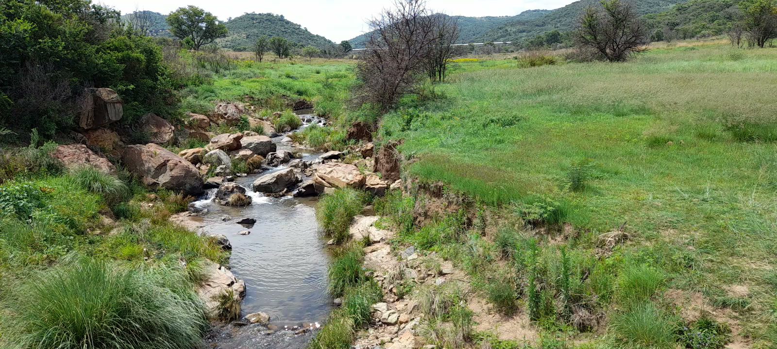  Klipriviersberg Nature Reserve