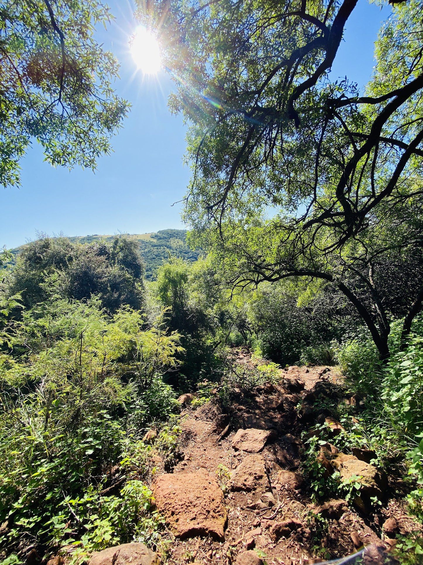  Klipriviersberg Nature Reserve