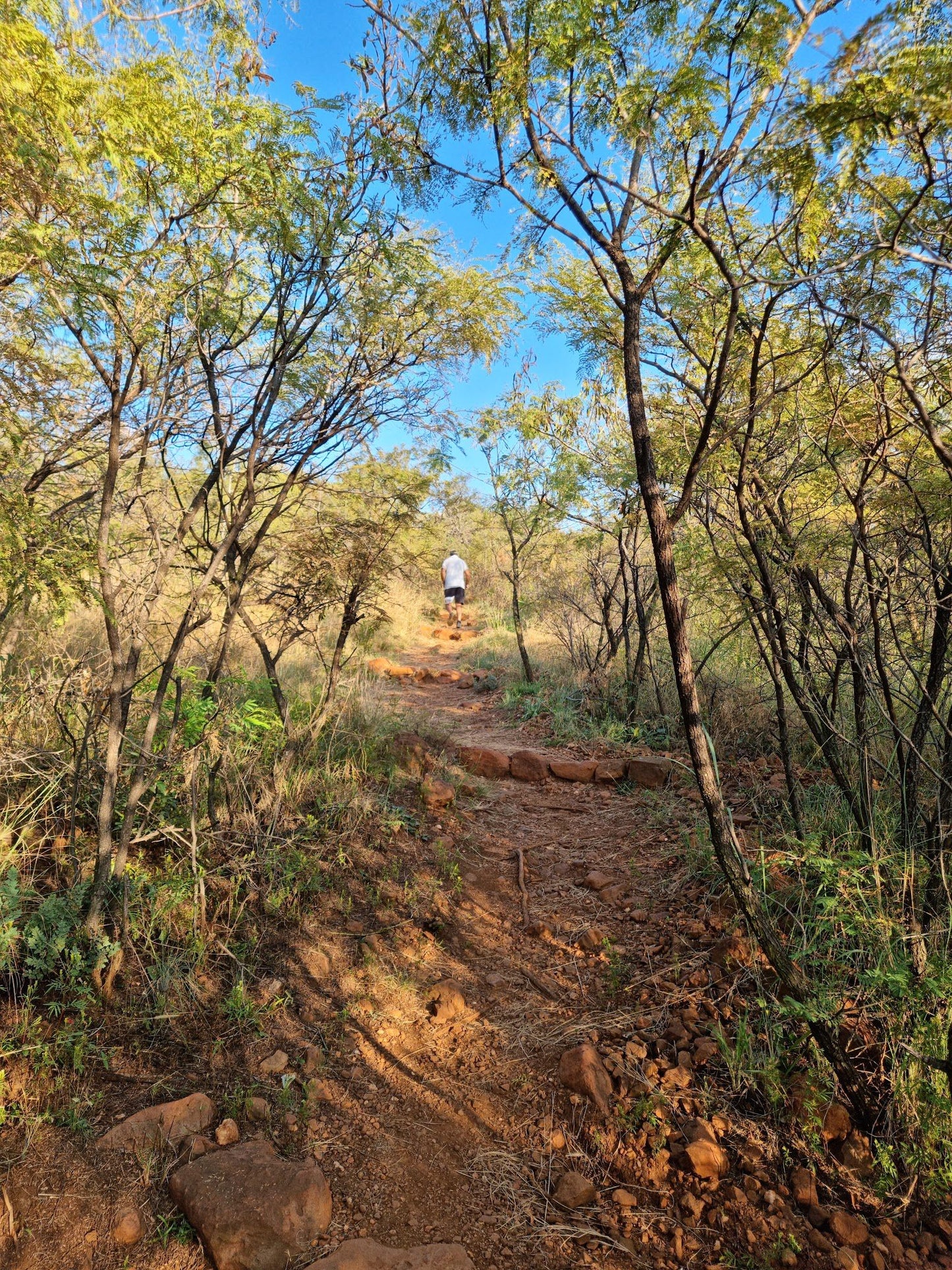  Klipriviersberg Nature Reserve