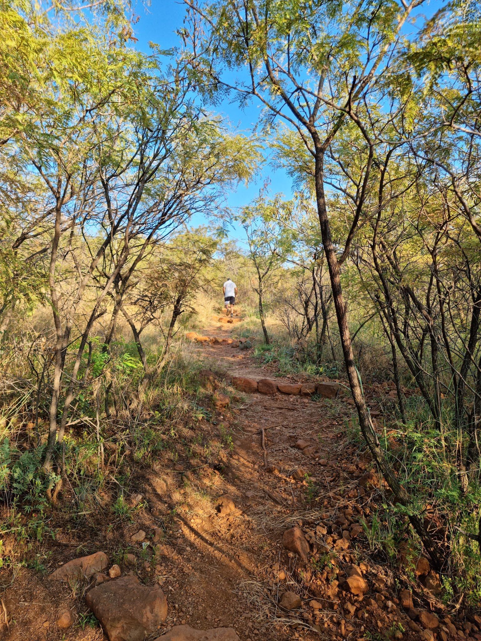  Klipriviersberg Nature Reserve