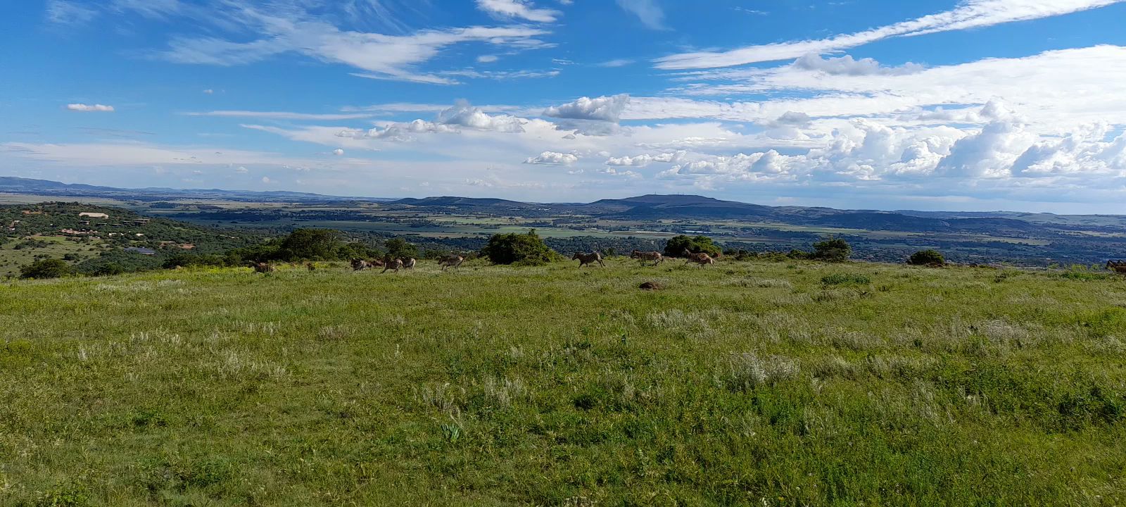  Klipriviersberg Nature Reserve