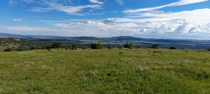  Klipriviersberg Nature Reserve