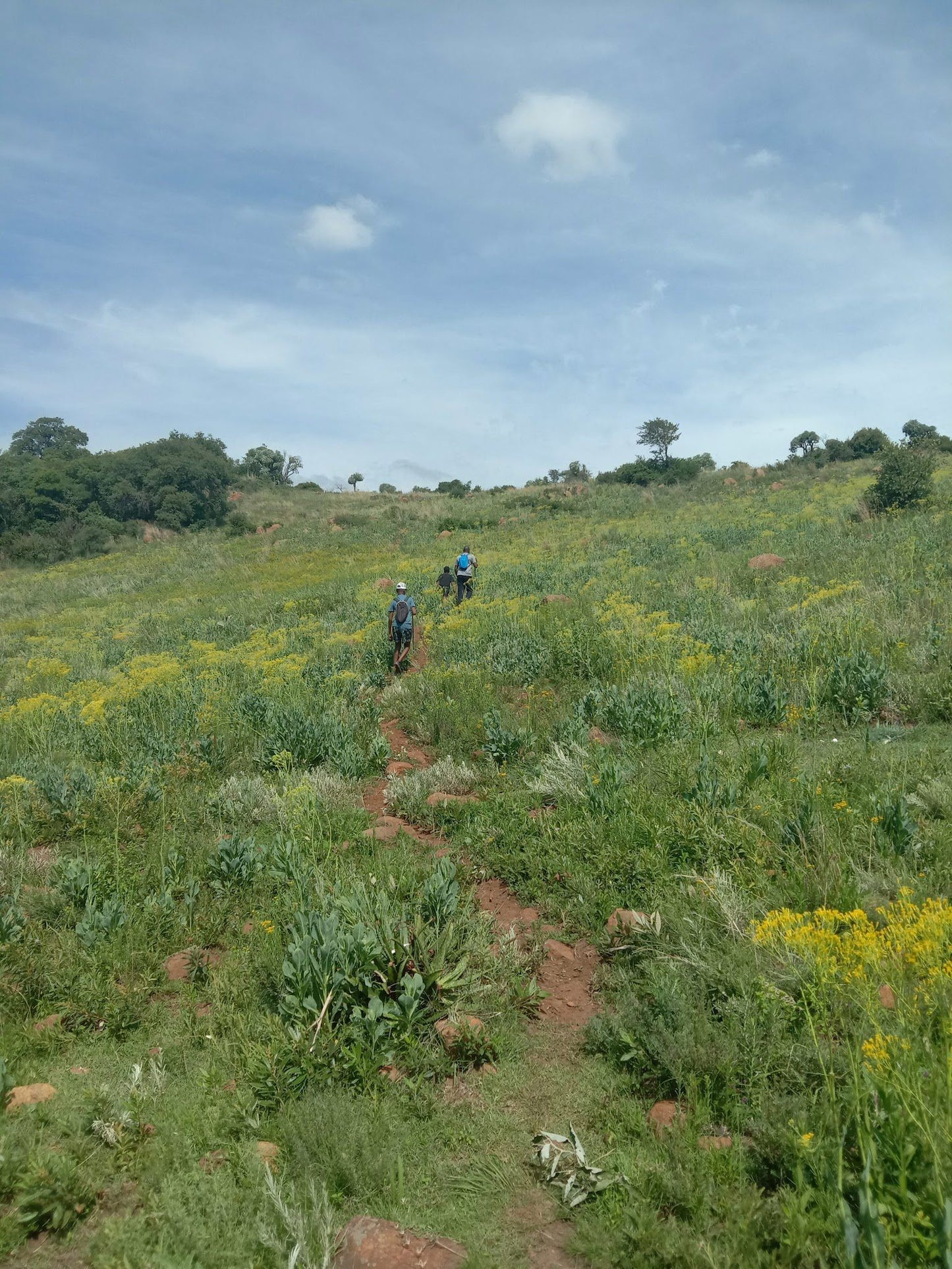 Klipriviersberg hike