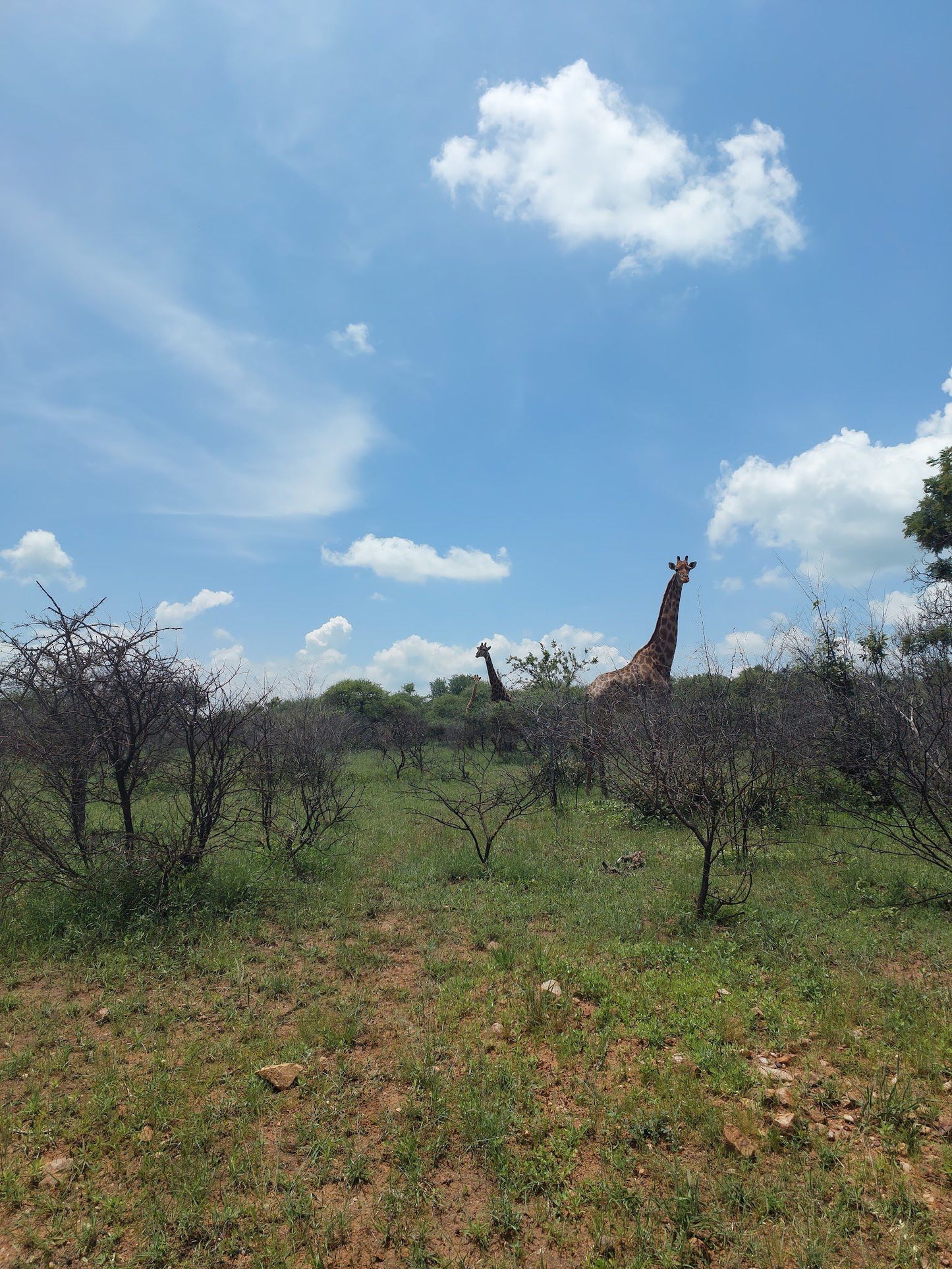  Klipvoordam/borakalalo nature reserve