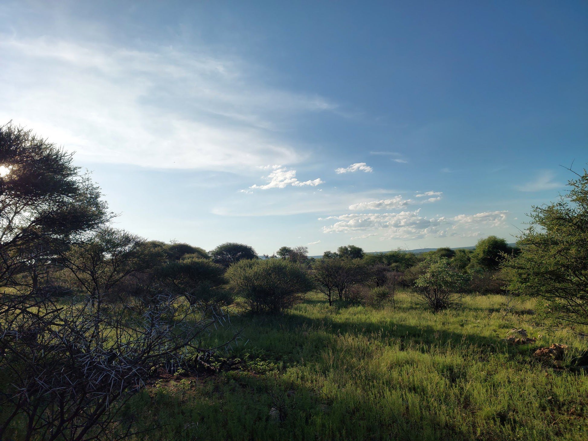  Klipvoordam/borakalalo nature reserve