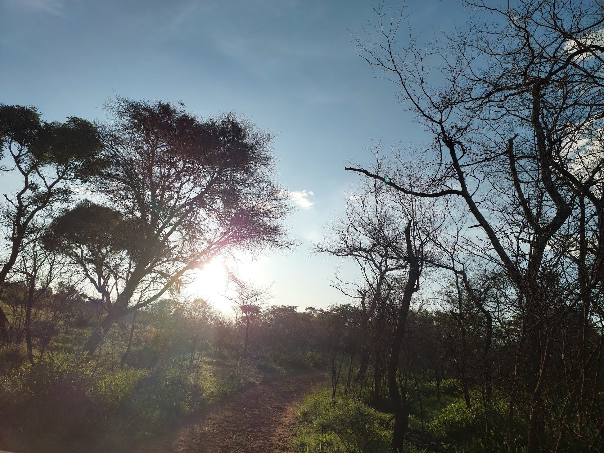  Klipvoordam/borakalalo nature reserve