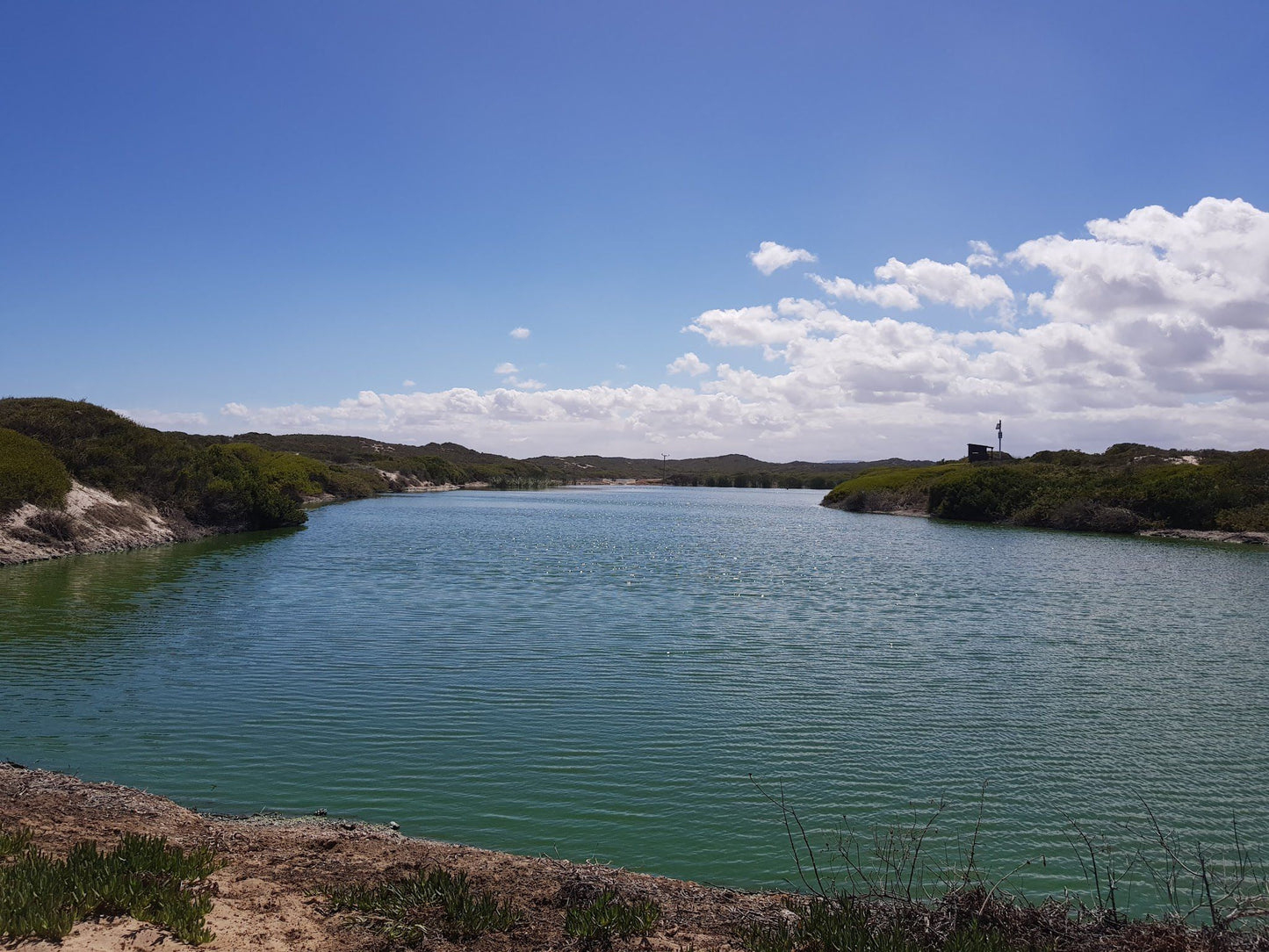  Koeberg Nature Reserve