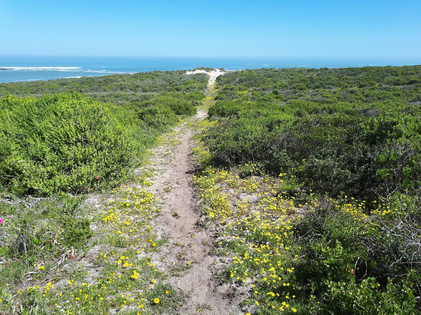  Koeberg Nature Reserve