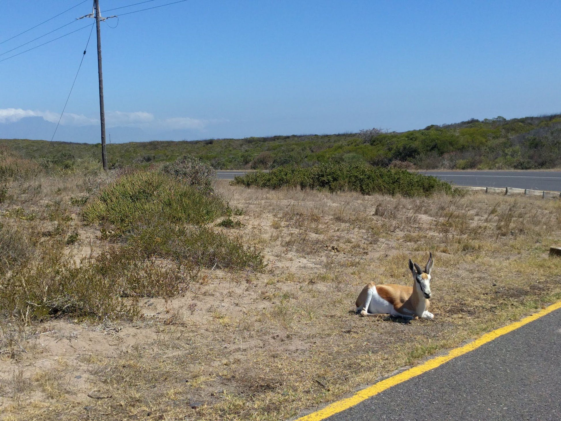  Koeberg Nature Reserve