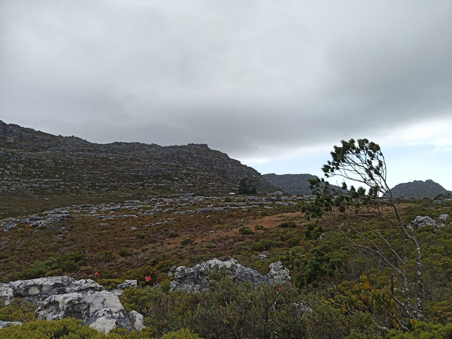  Koeberg Nature Reserve