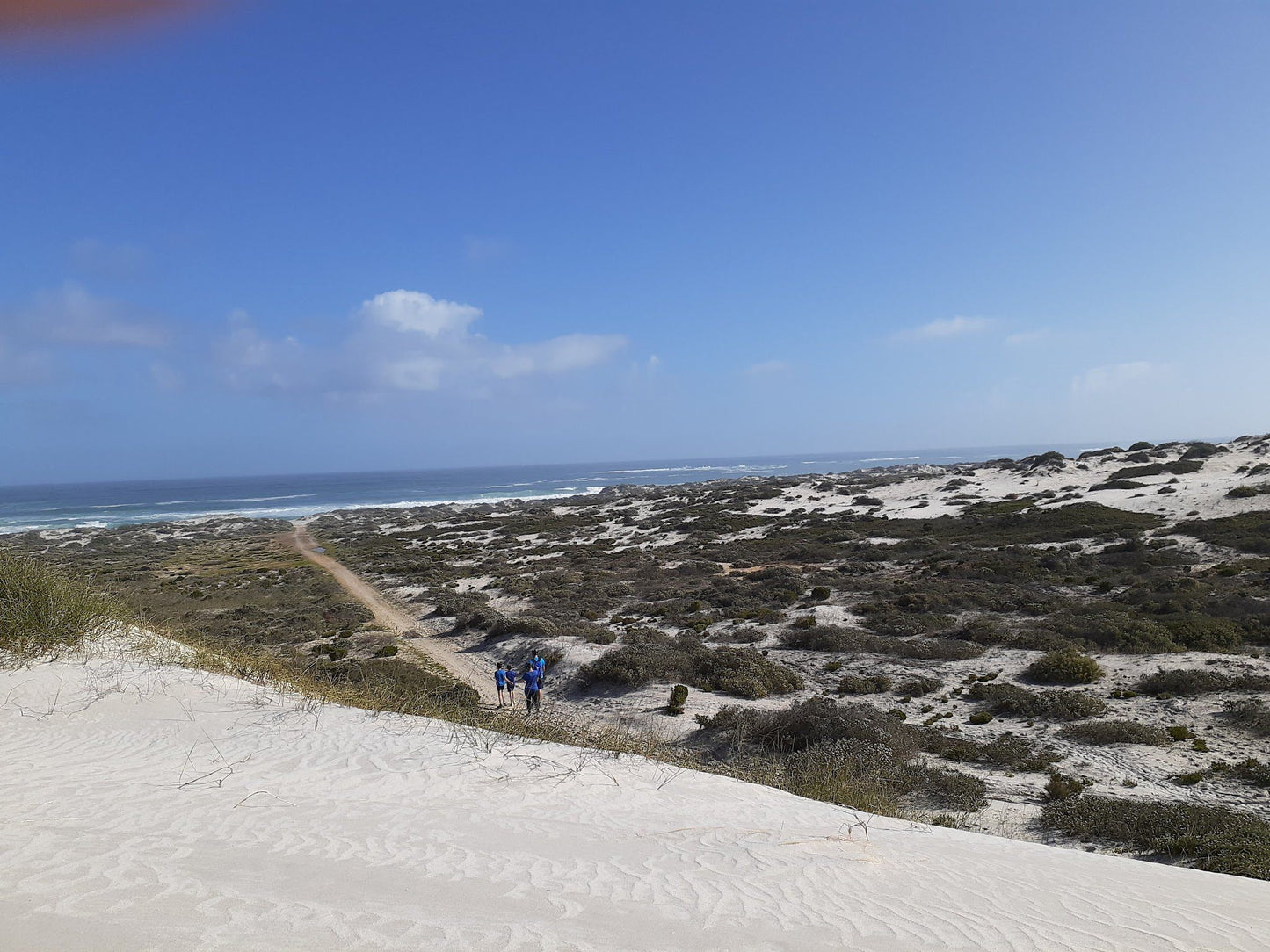  Koeberg Nature Reserve