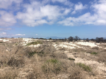  Koeberg Nature Reserve