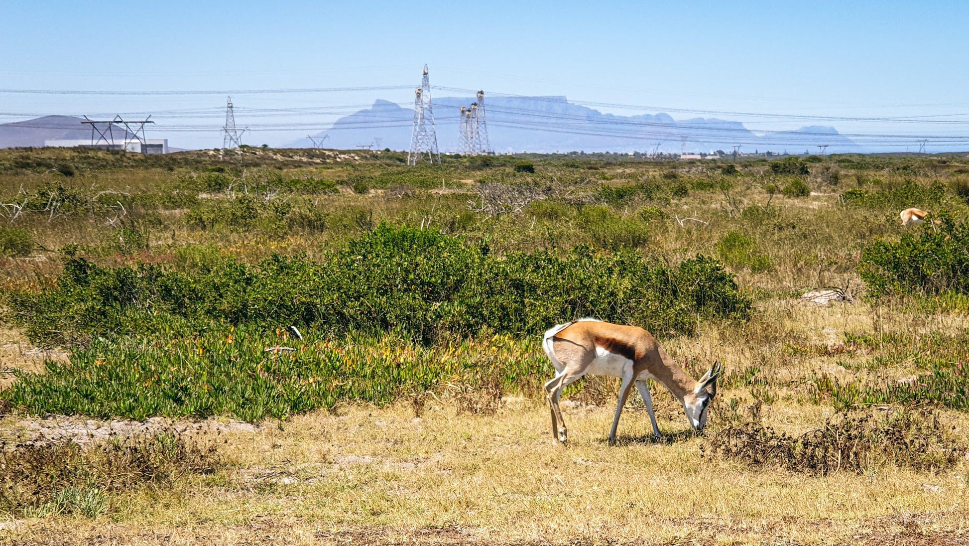  Koeberg Nature Reserve